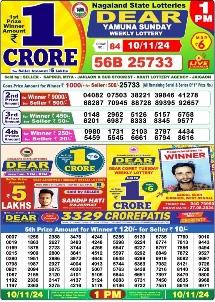 nagland state lottery result today 1 pm 10.11.24